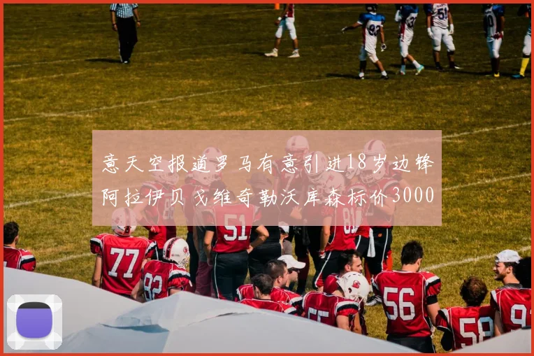 意天空报道罗马有意引进18岁边锋阿拉伊贝戈维奇勒沃库森标价3000万欧元